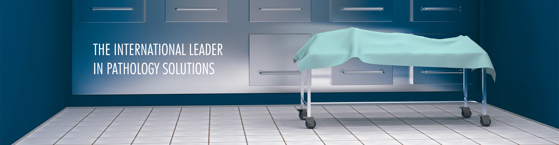 UFSK International: Setting, Pathology UFSK International: Setting, Pathology